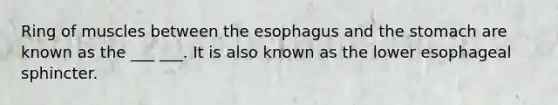 Ring of muscles between the esophagus and the stomach are known as the ___ ___. It is also known as the lower esophageal sphincter.