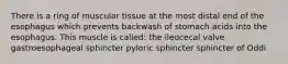 There is a ring of muscular tissue at the most distal end of the esophagus which prevents backwash of stomach acids into the esophagus. This muscle is called: the ileocecal valve gastroesophageal sphincter pyloric sphincter sphincter of Oddi