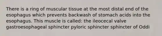 There is a ring of muscular tissue at the most distal end of <a href='https://www.questionai.com/knowledge/kSjVhaa9qF-the-esophagus' class='anchor-knowledge'>the esophagus</a> which prevents backwash of stomach acids into the esophagus. This muscle is called: the ileocecal valve gastroesophageal sphincter pyloric sphincter sphincter of Oddi