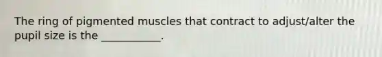 The ring of pigmented muscles that contract to adjust/alter the pupil size is the ___________.