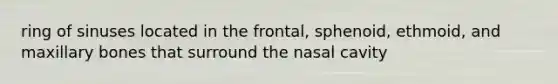 ring of sinuses located in the frontal, sphenoid, ethmoid, and maxillary bones that surround the nasal cavity