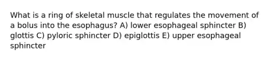 What is a ring of skeletal muscle that regulates the movement of a bolus into the esophagus? A) lower esophageal sphincter B) glottis C) pyloric sphincter D) epiglottis E) upper esophageal sphincter