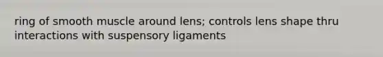 ring of smooth muscle around lens; controls lens shape thru interactions with suspensory ligaments