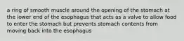 a ring of smooth muscle around the opening of the stomach at the lower end of the esophagus that acts as a valve to allow food to enter the stomach but prevents stomach contents from moving back into the esophagus