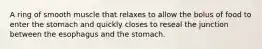 A ring of smooth muscle that relaxes to allow the bolus of food to enter the stomach and quickly closes to reseal the junction between the esophagus and the stomach.