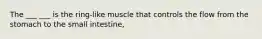 The ___ ___ is the ring-like muscle that controls the flow from the stomach to the small intestine,