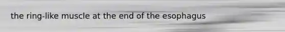 the ring-like muscle at the end of the esophagus