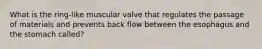 What is the ring-like muscular valve that regulates the passage of materials and prevents back flow between the esophagus and the stomach called?