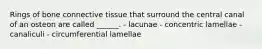 Rings of bone connective tissue that surround the central canal of an osteon are called ______. - lacunae - concentric lamellae - canaliculi - circumferential lamellae