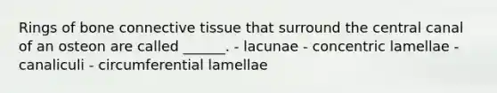 Rings of bone connective tissue that surround the central canal of an osteon are called ______. - lacunae - concentric lamellae - canaliculi - circumferential lamellae