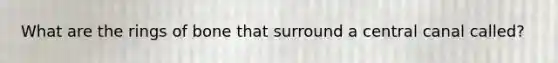 What are the rings of bone that surround a central canal called?