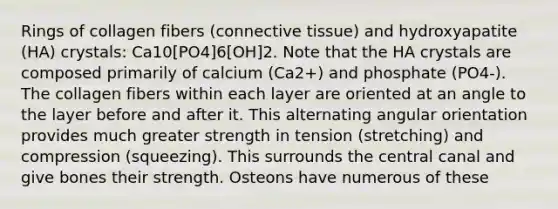 Rings of collagen fibers (connective tissue) and hydroxyapatite (HA) crystals: Ca10[PO4]6[OH]2. Note that the HA crystals are composed primarily of calcium (Ca2+) and phosphate (PO4-). The collagen fibers within each layer are oriented at an angle to the layer before and after it. This alternating angular orientation provides much greater strength in tension (stretching) and compression (squeezing). This surrounds the central canal and give bones their strength. Osteons have numerous of these