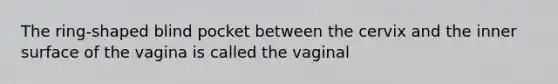 The ring-shaped blind pocket between the cervix and the inner surface of the vagina is called the vaginal