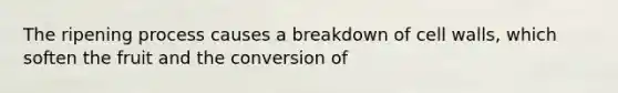 The ripening process causes a breakdown of cell walls, which soften the fruit and the conversion of