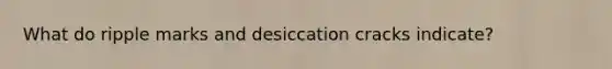 What do ripple marks and desiccation cracks indicate?