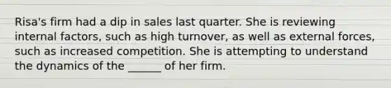 Risa's firm had a dip in sales last quarter. She is reviewing internal factors, such as high turnover, as well as external forces, such as increased competition. She is attempting to understand the dynamics of the ______ of her firm.