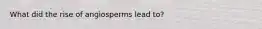 What did the rise of angiosperms lead to?