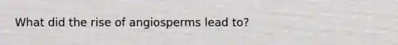 What did the rise of angiosperms lead to?