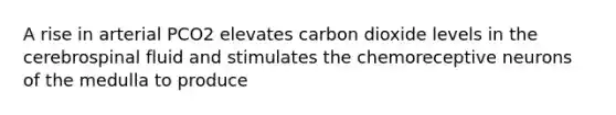 A rise in arterial PCO2 elevates carbon dioxide levels in the cerebrospinal fluid and stimulates the chemoreceptive neurons of the medulla to produce