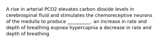 A rise in arterial PCO2 elevates carbon dioxide levels in cerebrospinal fluid and stimulates the chemoreceptive neurons of the medulla to produce __________. an increase in rate and depth of breathing eupnea hypercapnia a decrease in rate and depth of breathing