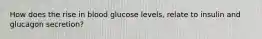 How does the rise in blood glucose levels, relate to insulin and glucagon secretion?