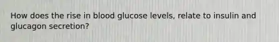 How does the rise in blood glucose levels, relate to insulin and glucagon secretion?