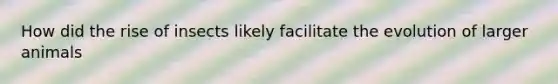 How did the rise of insects likely facilitate the evolution of larger animals