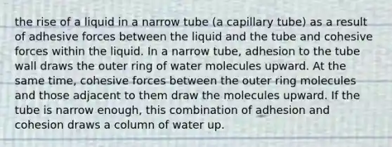 the rise of a liquid in a narrow tube (a capillary tube) as a result of adhesive forces between the liquid and the tube and cohesive forces within the liquid. In a narrow tube, adhesion to the tube wall draws the outer ring of water molecules upward. At the same time, cohesive forces between the outer ring molecules and those adjacent to them draw the molecules upward. If the tube is narrow enough, this combination of adhesion and cohesion draws a column of water up.