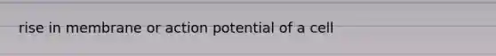 rise in membrane or action potential of a cell