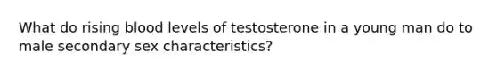 What do rising blood levels of testosterone in a young man do to male secondary sex characteristics?