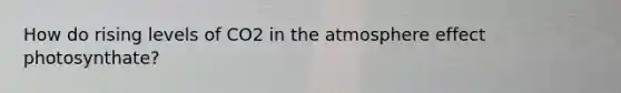 How do rising levels of CO2 in the atmosphere effect photosynthate?