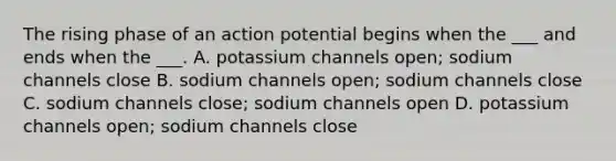 The rising phase of an action potential begins when the ___ and ends when the ___. A. potassium channels open; sodium channels close B. sodium channels open; sodium channels close C. sodium channels close; sodium channels open D. potassium channels open; sodium channels close