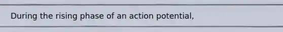 During the rising phase of an action potential,