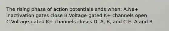 The rising phase of action potentials ends when: A.Na+ inactivation gates close B.Voltage-gated K+ channels open C.Voltage-gated K+ channels closes D. A, B, and C E. A and B