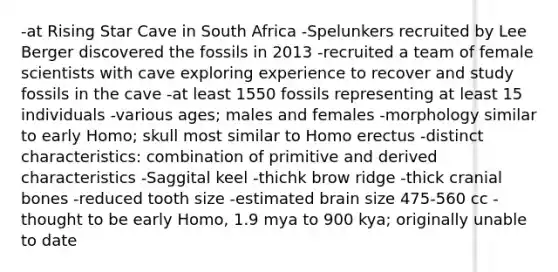 -at Rising Star Cave in South Africa -Spelunkers recruited by Lee Berger discovered the fossils in 2013 -recruited a team of female scientists with cave exploring experience to recover and study fossils in the cave -at least 1550 fossils representing at least 15 individuals -various ages; males and females -morphology similar to early Homo; skull most similar to <a href='https://www.questionai.com/knowledge/kI1ONx7LAC-homo-erectus' class='anchor-knowledge'>homo erectus</a> -distinct characteristics: combination of primitive and derived characteristics -Saggital keel -thichk brow ridge -thick cranial bones -reduced tooth size -estimated brain size 475-560 cc -thought to be early Homo, 1.9 mya to 900 kya; originally unable to date