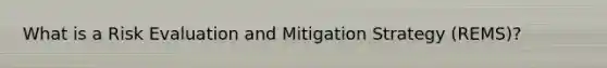 What is a Risk Evaluation and Mitigation Strategy (REMS)?
