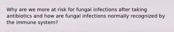 Why are we more at risk for fungal infections after taking antibiotics and how are fungal infections normally recognized by the immune system?