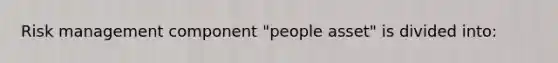 Risk management component "people asset" is divided into: