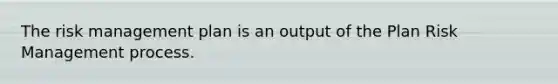 The risk management plan is an output of the Plan Risk Management process.