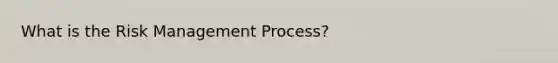 What is the Risk Management Process?