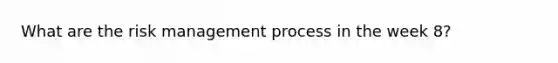 What are the risk management process in the week 8?