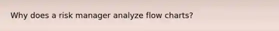 Why does a risk manager analyze flow charts?