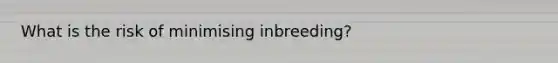 What is the risk of minimising inbreeding?