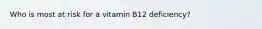 Who is most at risk for a vitamin B12 deficiency?