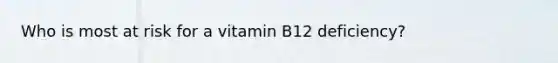 Who is most at risk for a vitamin B12 deficiency?