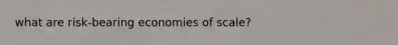 what are risk-bearing economies of scale?