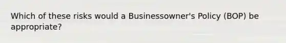 Which of these risks would a Businessowner's Policy (BOP) be appropriate?