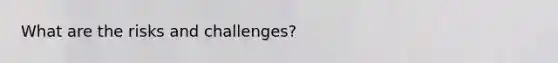 What are the risks and challenges?