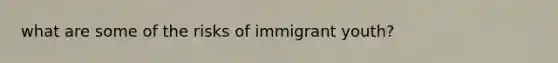 what are some of the risks of immigrant youth?