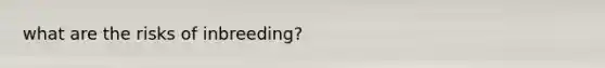 what are the risks of inbreeding?